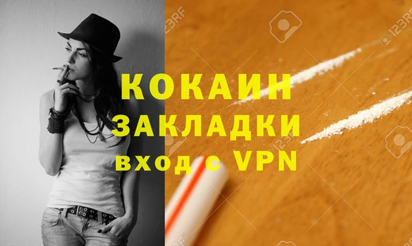прущие грибы Тихвин