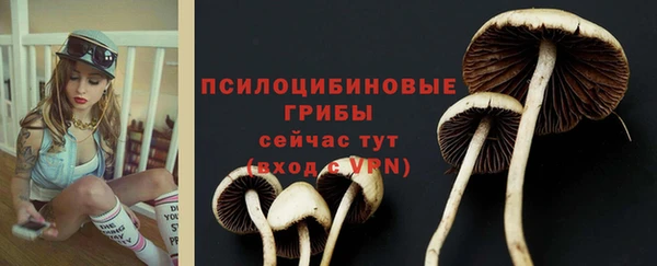 герыч Белокуриха