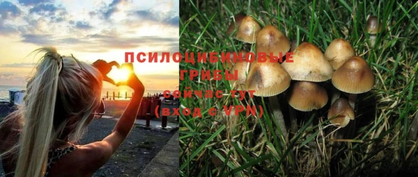герыч Белокуриха