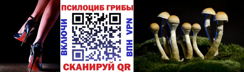 мориарти как зайти  Городовиковск  Галлюциногенные грибы прущие грибы 